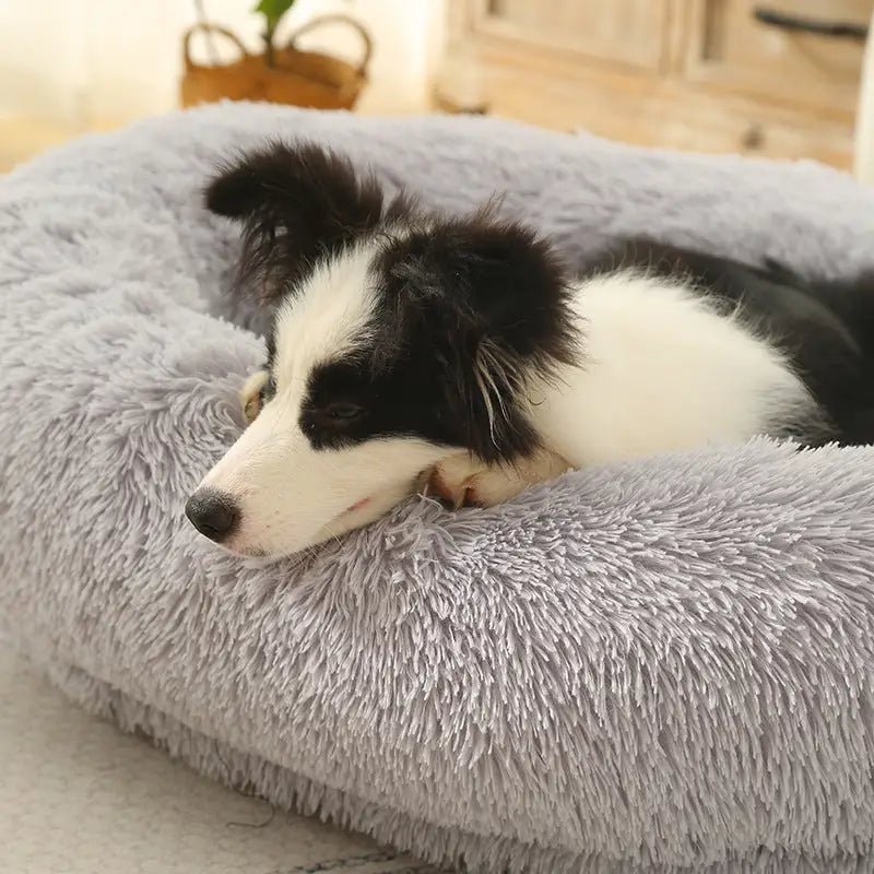 Fluffy Donut-Shaped Pet Bed- Soft Cozy and Anti-Anxiety for Dogs and Cats Machine Washable Light Gray Size:M 75*55*18cm