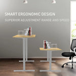 Fortia Sit To Stand Up Standing Desk 120x60cm 72-118cm Electric Height Adjustable 70kg Load White Oak Style/Silver