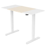 Fortia Sit To Stand Up Standing Desk 120x60cm 72-118cm Electric Height Adjustable 70kg Load Light Oak Style/White Frame