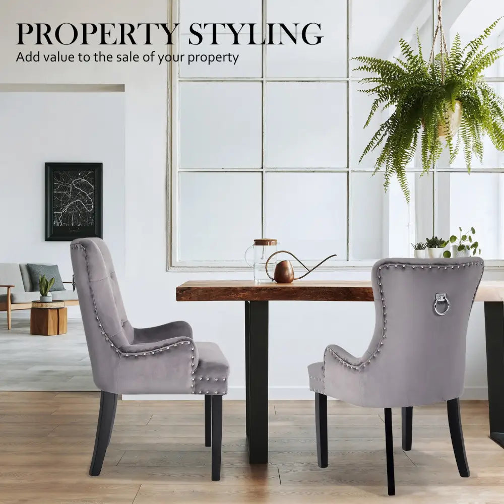 French Provincial Dining Chair Ring Studded Velvet Rubberwood Leg LISSE GREY - Furniture > Bar Stools & Chairs