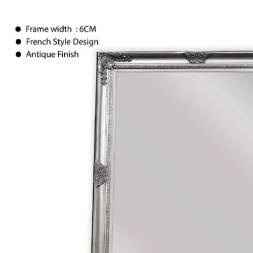French Provincial Ornate Mirror - Antique Champagne - Free Standing 50cm x 170cm - Home & Garden > Decor