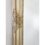 French Provincial Ornate Mirror - ANTIQUE CHAMPAGNE - X Large 100cm x 190cm - Home & Garden > Decor