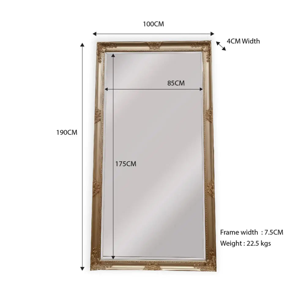 French Provincial Ornate Mirror - ANTIQUE CHAMPAGNE - X Large 100cm x 190cm - Home & Garden > Decor