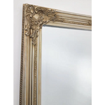 French Provincial Ornate Mirror - Champagne - Medium 70cm x 170cm - Home & Garden > Decor