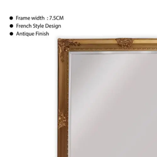 French Provincial Ornate Mirror - COUNTRY GOLD - X Large 100cm x 190cm - Home & Garden > Decor