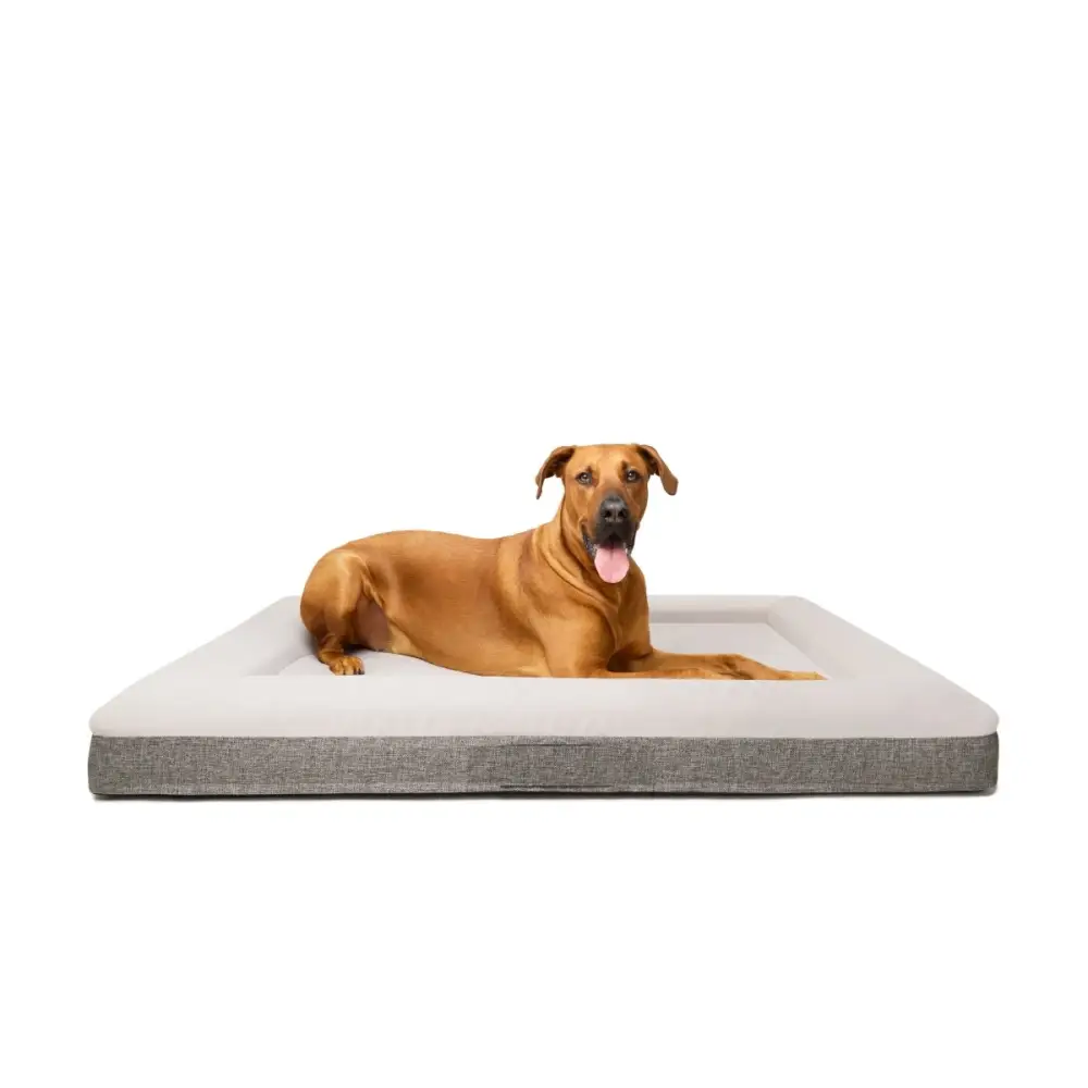 Fur King ’Ortho’ Orthopedic Dog Bed - XL - Pet Care > Dog Supplies > Dog Beds