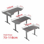 Gaming Standing Desk Home Office Lift Electric Height Adjustable Sit To Stand Motorized Standing Desk 1160 - Furniture