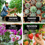Garden Greenhouse Shed PE Cover Only 350m Apex - Home & Garden > Green Houses