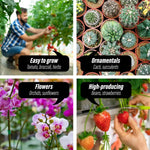 Garden Greenhouse Shed PE Cover Only 400cm Dome Tunnel - Home & Garden > Green Houses