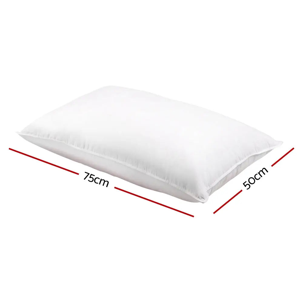 Giselle Bedding Goose Feather Down Pillow Twin Pack - Home & Garden > Bedding