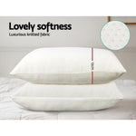 Giselle Bedding Memory Foam Pillow 13cm Thick Twin Pack - Home & Garden > Bedding