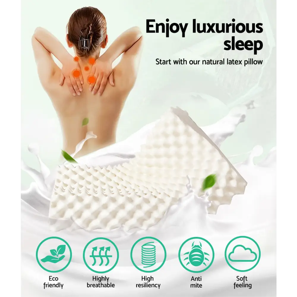 Giselle Bedding Natural Latex Pillow Twin Pack - Home & Garden > Bedding