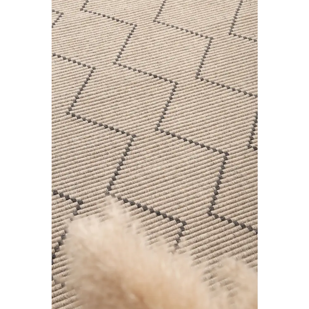 Goa D2 - ASH 200x290 - Home & Garden > Rugs