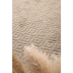 Goa D4 - ASH 160x230 - Home & Garden > Rugs
