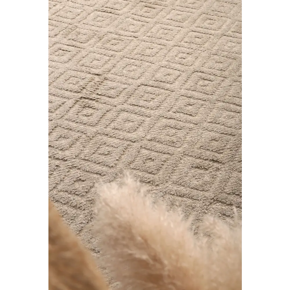 Goa D4 - ASH 160x230 - Home & Garden > Rugs