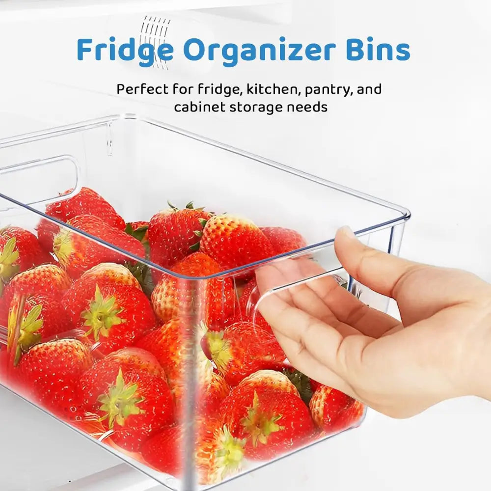 GOMINIMO 4 Pack Storage Bin GO-STB-101-HLT - Home & Garden > Storage