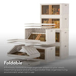 GOMINIMO 72L Foldable Storage Organizers(lvory + Brown) GO-FSCR-101-HXH - Home & Garden > Storage