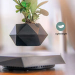 GOMINIMO Magnetic Levitating Plant Pot Black - Home & Garden > Decor