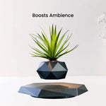 GOMINIMO Magnetic Levitating Plant Pot Black - Home & Garden > Decor
