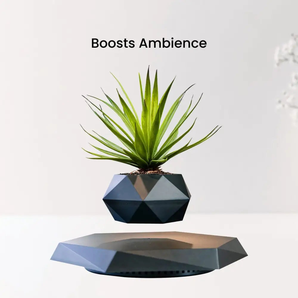 GOMINIMO Magnetic Levitating Plant Pot Black - Home & Garden > Decor