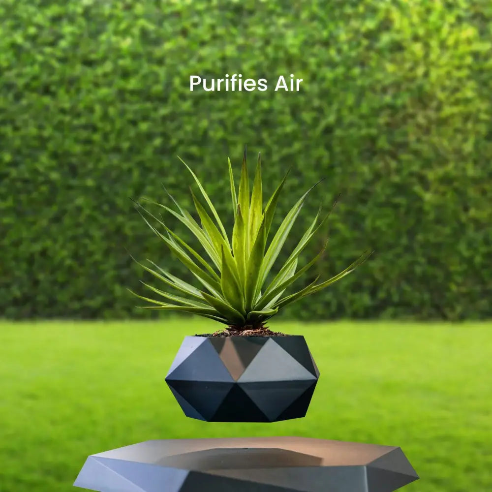 GOMINIMO Magnetic Levitating Plant Pot Black - Home & Garden > Decor