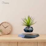 GOMINIMO Magnetic Levitating Plant Pot Black - Home & Garden > Decor