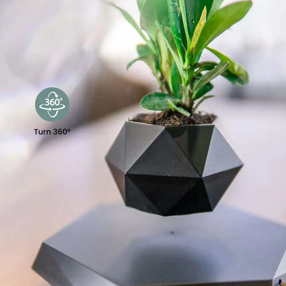 GOMINIMO Magnetic Levitating Plant Pot Black - Home & Garden > Decor
