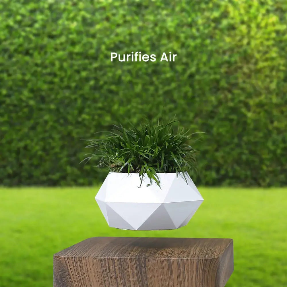 GOMINIMO Magnetic Levitating Plant Pot Dark Brown Base - Home & Garden > Decor