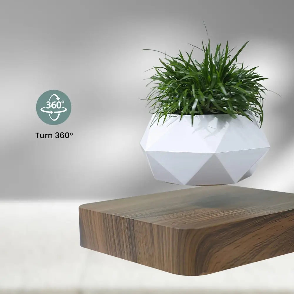 GOMINIMO Magnetic Levitating Plant Pot Dark Brown Base - Home & Garden > Decor