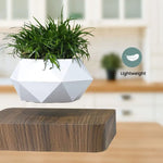 GOMINIMO Magnetic Levitating Plant Pot Dark Brown Base - Home & Garden > Decor
