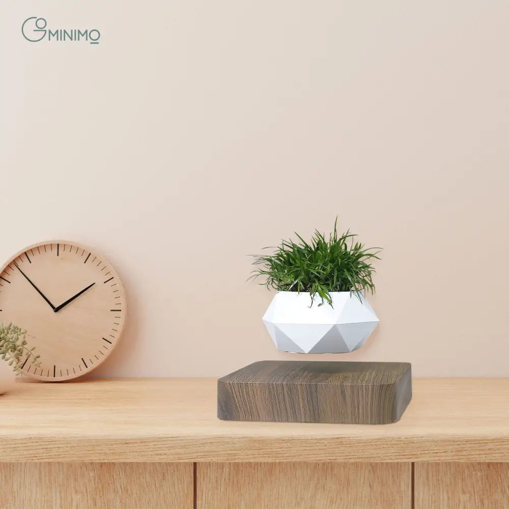 GOMINIMO Magnetic Levitating Plant Pot Dark Brown Base - Home & Garden > Decor