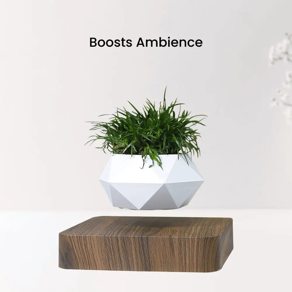 GOMINIMO Magnetic Levitating Plant Pot Dark Brown Base - Home & Garden > Decor