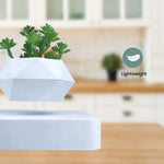 GOMINIMO Magnetic Levitating Plant Pot White GO-MLP-105-HCNT - Home & Garden > Decor