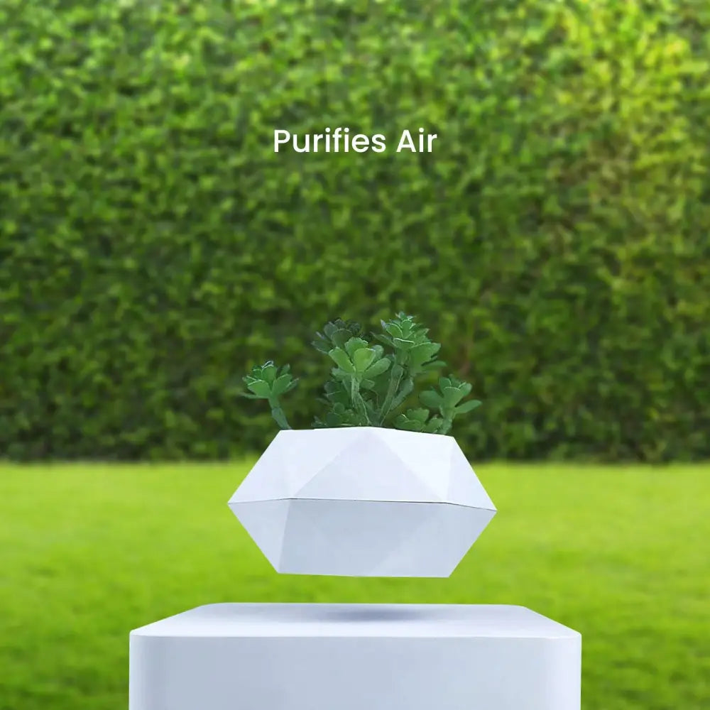 GOMINIMO Magnetic Levitating Plant Pot White GO-MLP-105-HCNT - Home & Garden > Decor