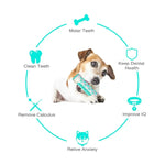Green Dog Squeaky Toys For Aggressive Chewers Tough Toothbrush Dog Chew Toy Nearly Indestructible Rubber Toys For Pet