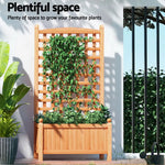 Green Fingers 2X Garden Bed Wooden 64x35x115cm Planter Raised Box Container Trellis - Home & Garden > Garden Beds >