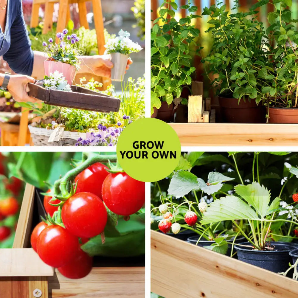 Green Fingers Raised Garden Bed 2x Elevated 120x60x80cm Wooden Planter Box Container - Home & Garden > Garden Beds >