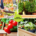 Green Fingers Raised Garden Bed 2x Elevated 120x60x80cm Wooden Planter Box Container - Home & Garden > Garden Beds >