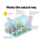 Greenfingers Greenhouse 6x3x2M Walk in Green House Tunnel Plant Garden Shed Dome - Home & Garden > Green Houses