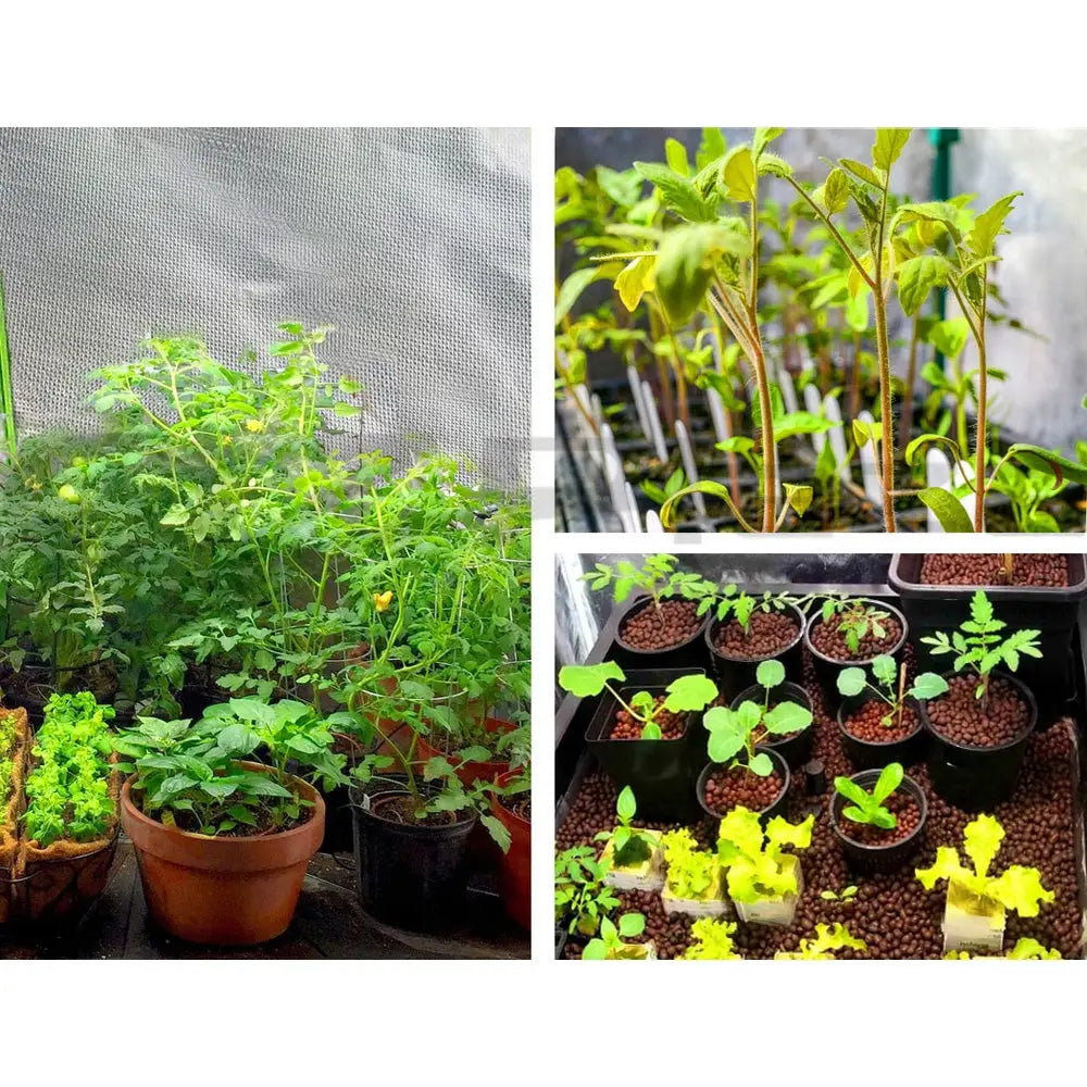 Greenfingers Grow Tent 60x60x90CM Hydroponics Kit Indoor Plant Room System - Home & Garden > Green Houses