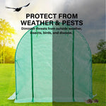 Greenhouse Walk-In Shed 3x2x2M PE Dome Tunnel Polytunnel - Home & Garden > Green Houses