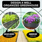 Greenhouse Walk-In Shed 6x3x2M PE Dome Hoop Tunnel Polytunnel - Home & Garden > Green Houses