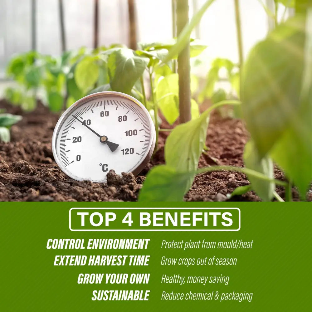 Greenhouse Walk-In Shed 6x3x2M PE Dome Hoop Tunnel Polytunnel - Home & Garden > Green Houses