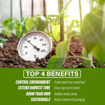 Greenhouse Walk-In Shed 6x3x2M PE Dome Hoop Tunnel Polytunnel - Home & Garden > Green Houses