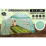 Greenhouse Walk-In Shed 6x3x2M PE Dome Hoop Tunnel Polytunnel - Home & Garden > Green Houses