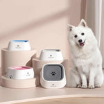 Grey Anti-Spill Floating Pet Water Bowl for Dogs and Cats - 1L Capacity Splash-Proof and Anti-Wet Mouth Design - Pet