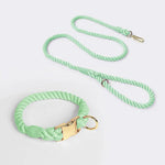 Handmade Rope Dog Collar and Leash Set - Colorful Woven Cotton Cotton (Mint green - Size M) - Pet Care > Dog Supplies >