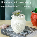 Hydroponic Vase for Home Flower Arrangements - Wet and Dry - Rose Pink - Home & Garden > Decor > Vases & Table Decor