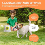 Hyper Fetch Maxi Dog Ball Thrower - Large Interactive Pet Toy Launcher - Pet Care > Toys > Dog Toys