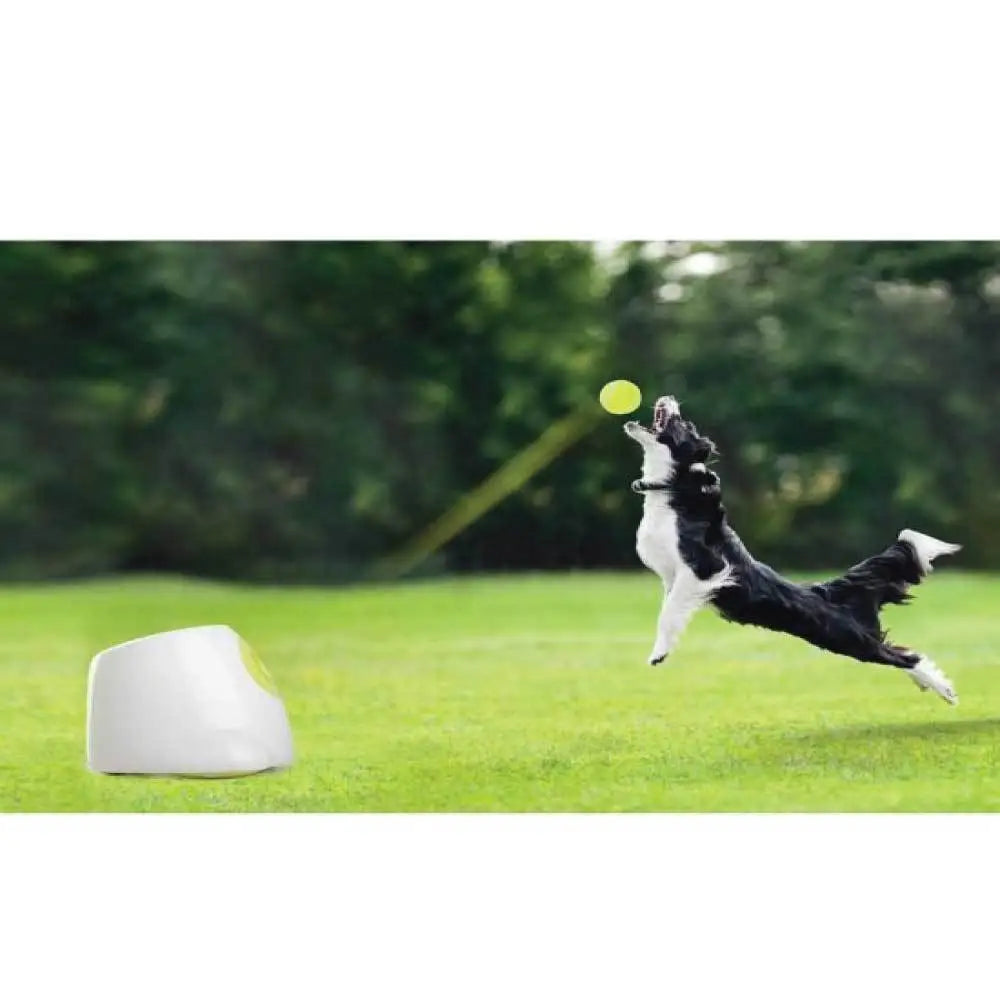 Hyper Fetch Maxi Dog Ball Thrower - Large Interactive Pet Toy Launcher - Pet Care > Toys > Dog Toys